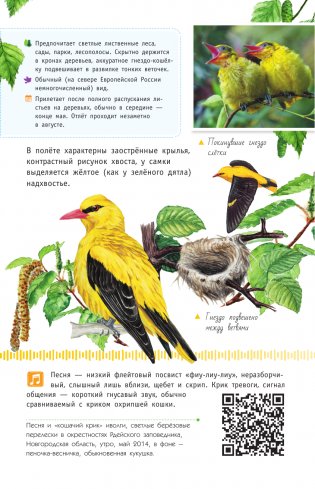 Певчие птицы. Средняя полоса европейской части России. Определитель с голосами птиц фото книги 10