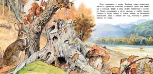 Приключения зайчонка фото книги 4