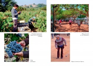 Год в Провансе фото книги 4