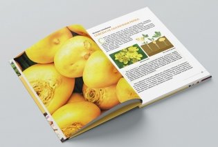 Такие разные овощи фото книги 3