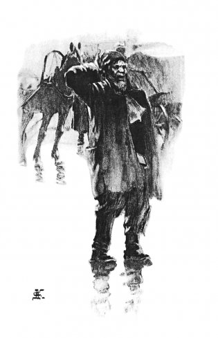 Каштанка. Рассказы (ил. М. Белоусовой, Д. Кардовского) фото книги 4