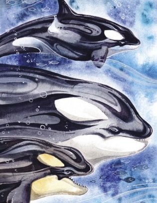 Маленькая косатка фото книги 3