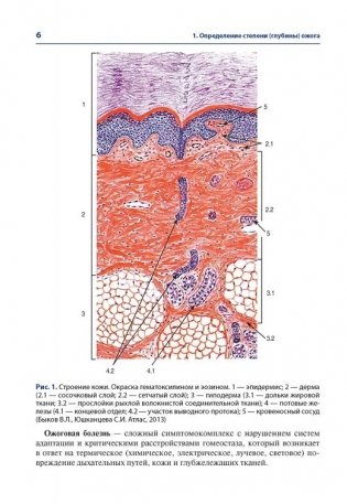 Атлас термических поражений фото книги 3