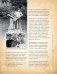 Детское питание по ГОСТу фото книги маленькое 7