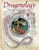 Dragonology: the colouring companion фото книги маленькое 2