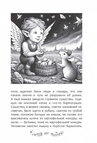 Волшебное превращение фото книги 10