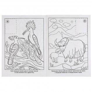 Дикие животные фото книги 4