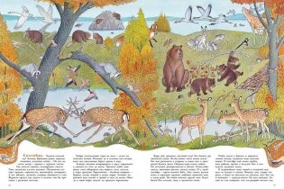 В лесу фото книги 4