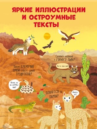 Большая книга с окошками. Животные фото книги 12