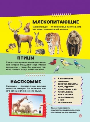 Моя первая большая книга о животных фото книги 9