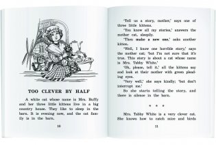 Рассказы мамы-кошки. Домашнее чтение с заданиями по новому ФГОС фото книги 4