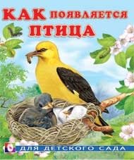 Как появляется птица фото книги