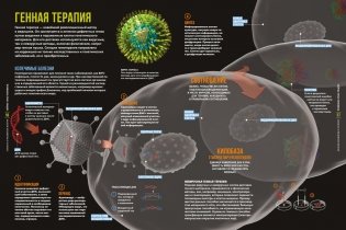 Тайны тела человека. Большая иллюстрированная энциклопедия фото книги 6