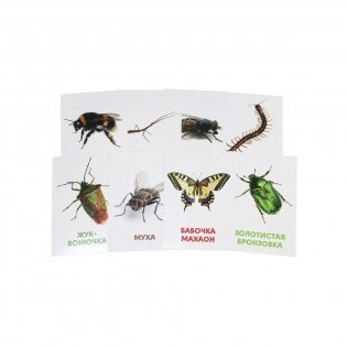 Развивающие карточки. Насекомые фото книги 5