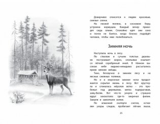 Год в лесу фото книги 5