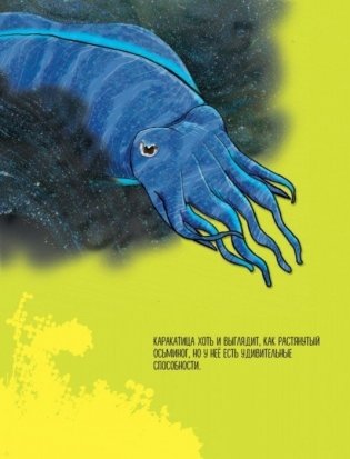 Энциклопедия животных: на суше, под водой и в воздухе фото книги 5