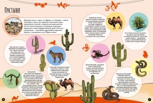 Чудеса природы фото книги 4