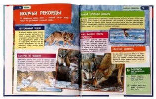 Волки. Энциклопедия с развивающими заданиями фото книги 4