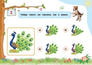 Внимание и память фото книги 4