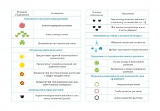Картотека предметных картинок №32. Комнатные растения и модели ухода за ними фото книги 4