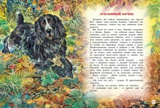 Большая книга рассказов фото книги 5