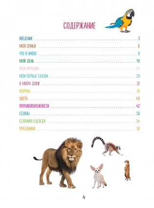 Моя первая книга. Изучаю все вокруг фото книги 5