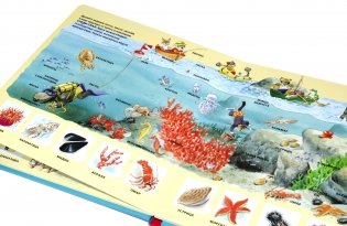 На море фото книги 5