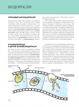 Растения: полная энциклопедия фото книги 9