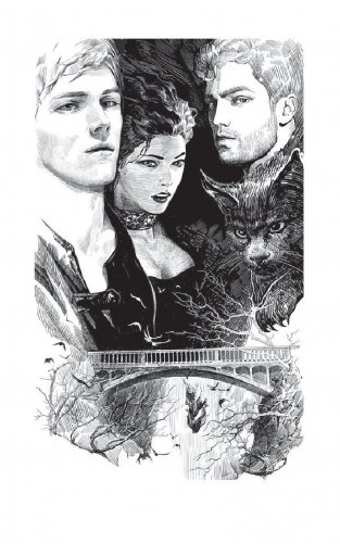 Мастер снов фото книги 3