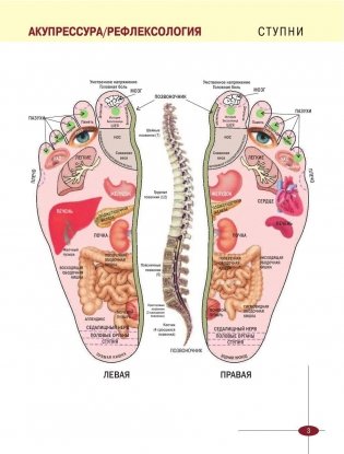 Акупрессура фото книги 4