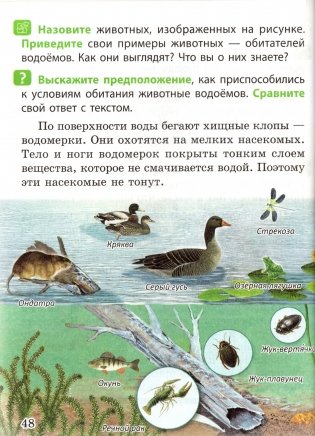 Человек и мир. 3 класс фото книги 7