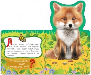 Лиса фото книги 3