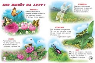Родная природа фото книги 2