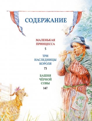 Самые красивые сказки о принцессах и волшебниках фото книги 8
