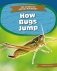 How Bugs Jump фото книги маленькое 2