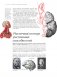 Мозг. Большая энциклопедия фото книги маленькое 12