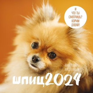Шпицы. Календарь настенный на 2024 год (300х300) фото книги