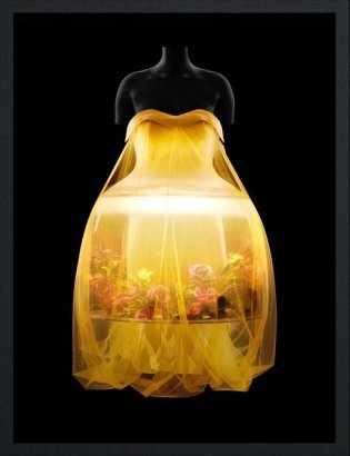 Sleeping Beauties: Reawakening Fashion фото книги