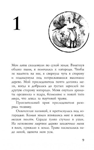 Foxcraft. Книга 1. Зачарованные фото книги 3