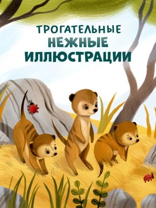 Детский сад для зверят фото книги 5