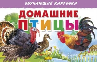 Домашние птицы. Обучающие карточки фото книги