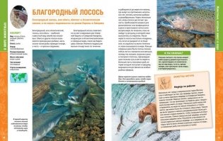 В мире животных. Энциклопедия фото книги 6