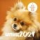 Шпицы. Календарь настенный на 2024 год (300х300) фото книги маленькое 2