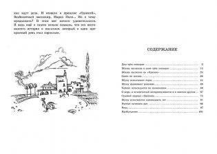 Безбилетный пассажир фото книги 4