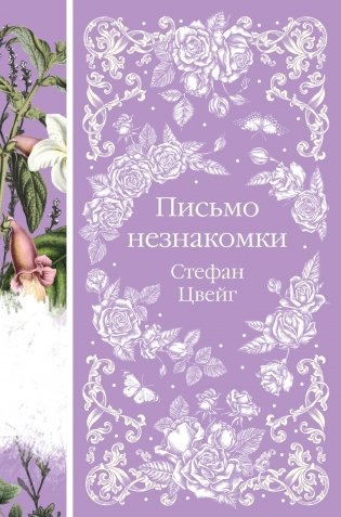 Письмо незнакомки фото книги