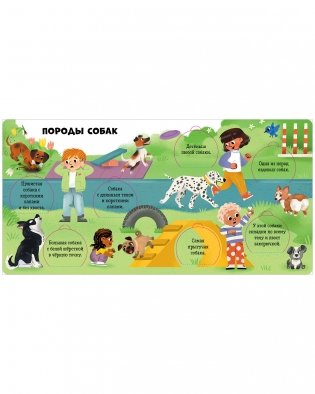 Любимые животные. Энциклопедия с окошками фото книги 4