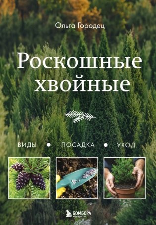 Роскошные хвойные. Виды, посадка, уход фото книги