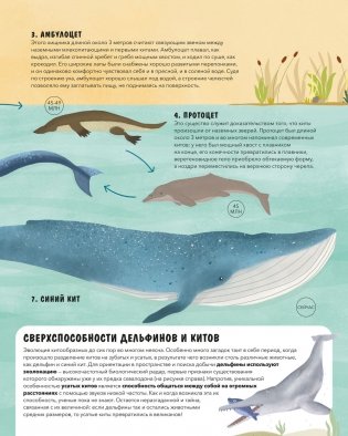 Эволюция. Как изменилась жизнь за миллиарды лет фото книги 7