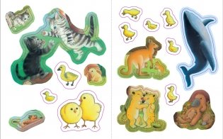 Детёныши животных фото книги 3