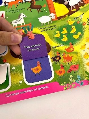 Счет фото книги 3